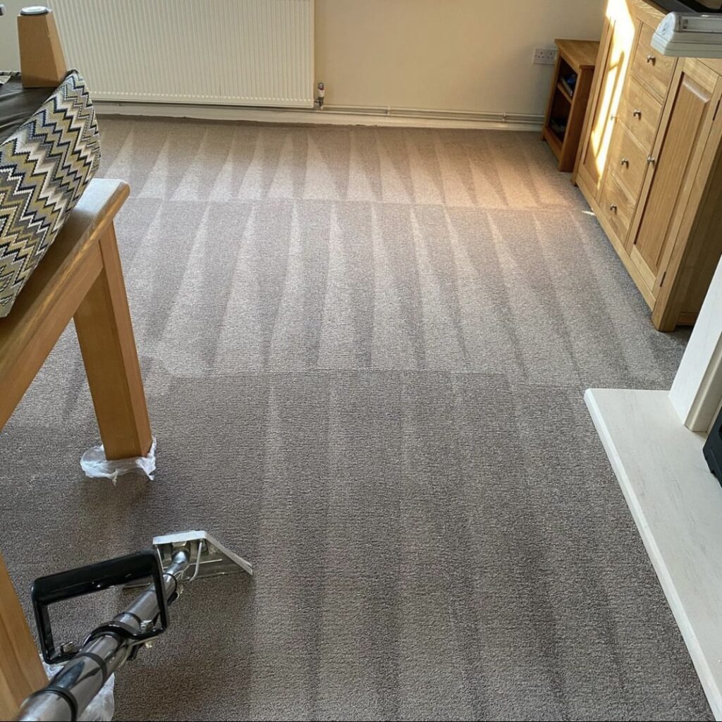 Professional carpet cleaning in Maidenhead showing extraction stripes and protected furniture