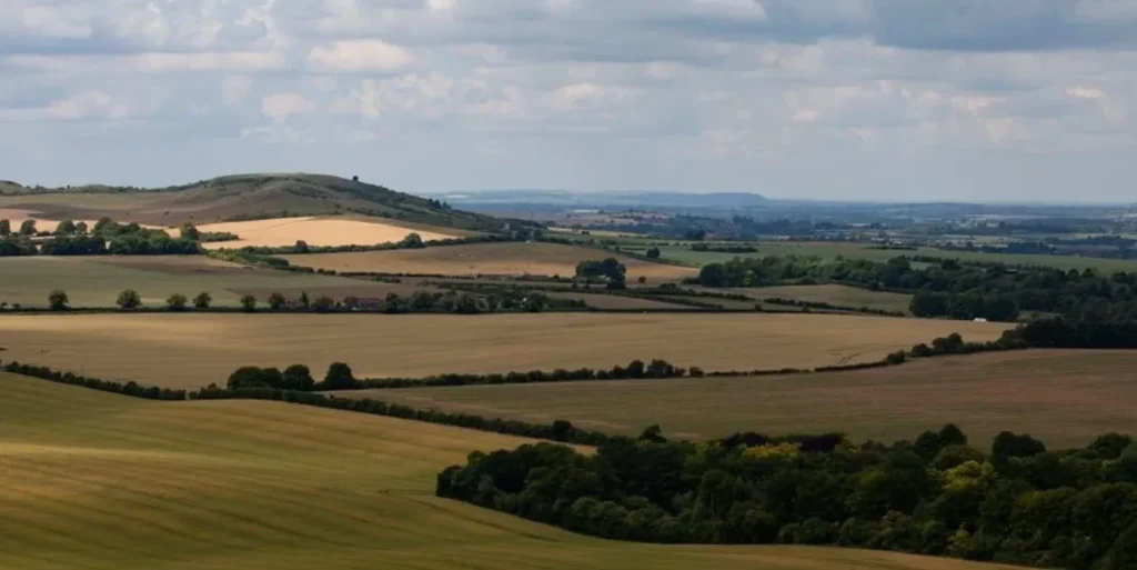 Rolling Chiltern Hills countryside in Buckinghamshire — Primokleen professional carpet cleaning Buckinghamshire