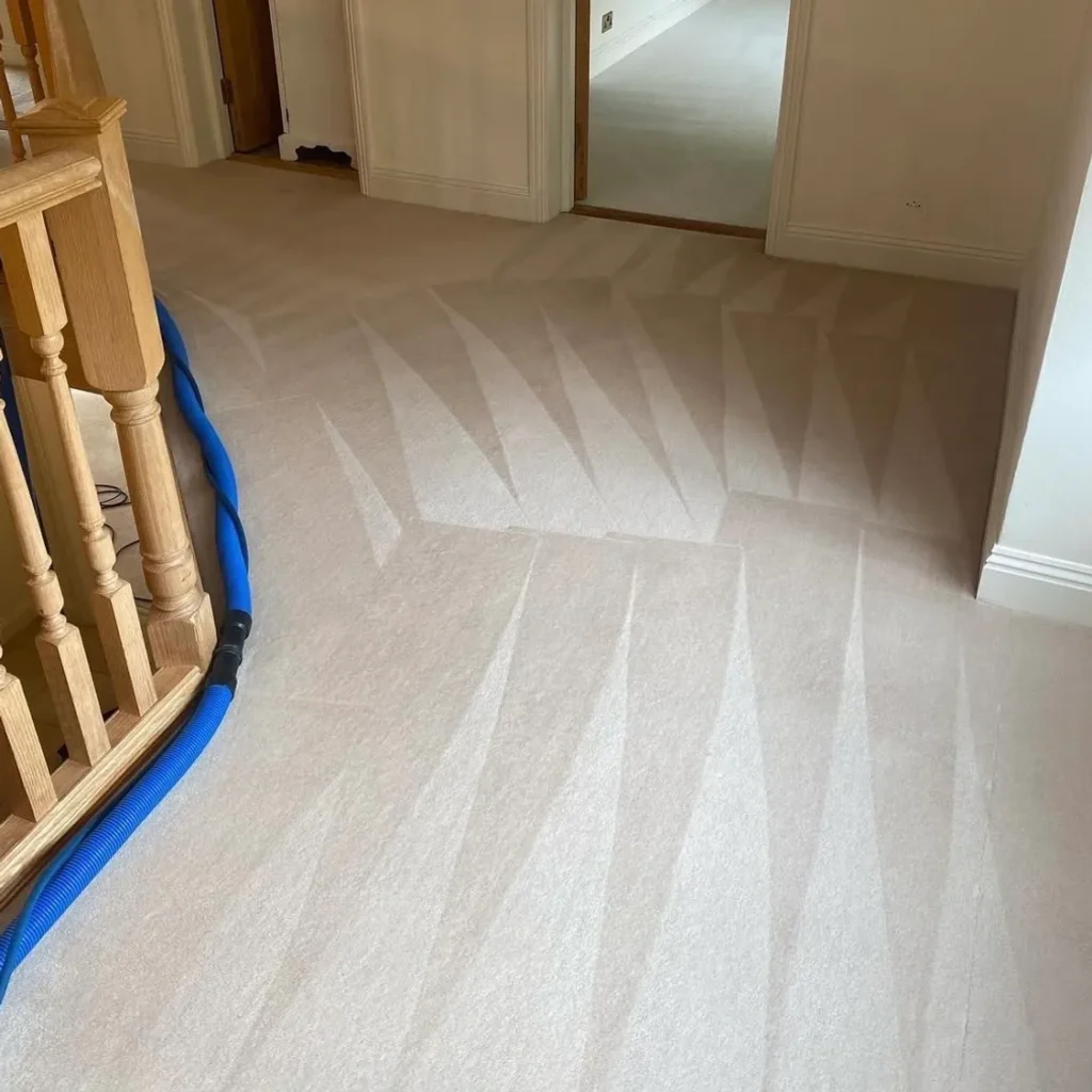 Freshly cleaned landing carpet showing hot water extraction cleaning results by Primokleen