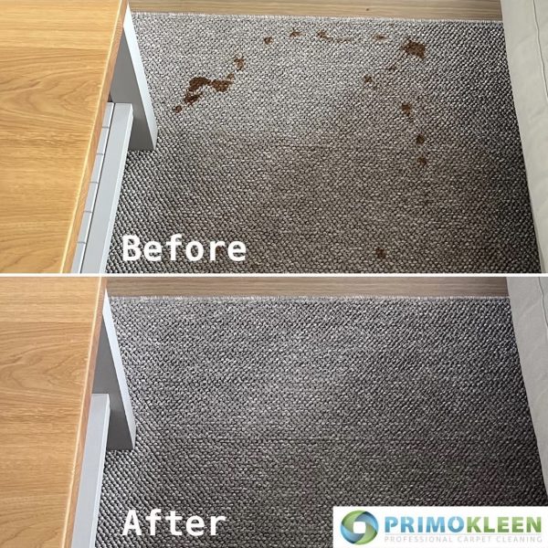 Primokleen rug cleaning before and after — ketchup stains removed in Cookham