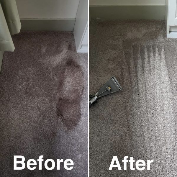 Primokleen bedroom carpet stain removal before and after in Ascot
