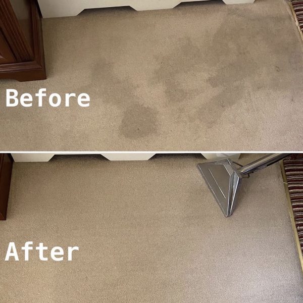 Primokleen carpet stain removal before and after in Windsor